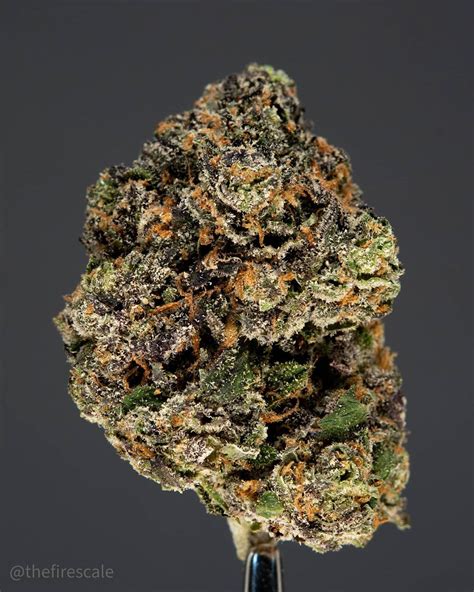 Strawberry Gelato Marijuana Strain